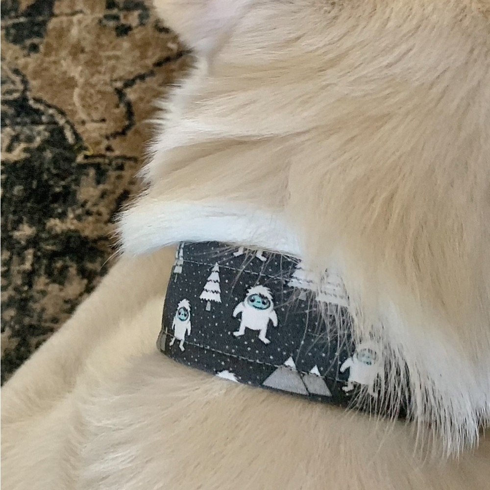 • 1.5” Thick Yeti Dog Collar • - Picture 9 of 9
